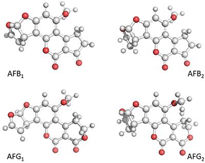 Removal of Aflatoxins Using Agro-Waste-Based Materials and Current Characterization Techniques Used for Biosorption Assessment